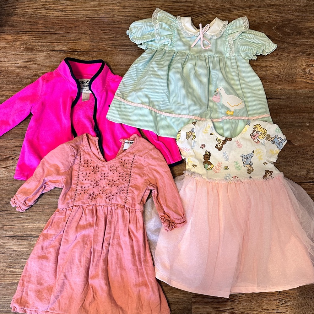 Lot of 2T girl clothes